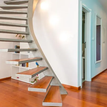 Apartment Mav